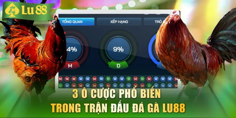 Đá Gà LU88 - Sảnh Cá Cược Hàng Đầu Đáng Thử Nhất 5/2026