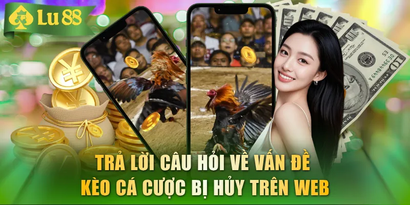 Đá Gà LU88 - Sảnh Cá Cược Hàng Đầu Đáng Thử Nhất 5/2026